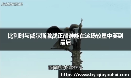 QY球友会APP